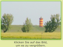Brutstandort in der Krummhörn
